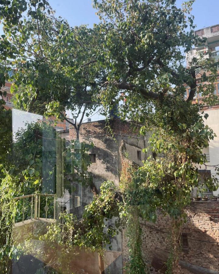 Rooftop Studio And 2Bhk Apartments In Kathmandu'S Most Happening Place Extérieur photo